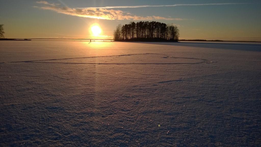 Koivuniemi Cottage Säkylä Eksteriør billede