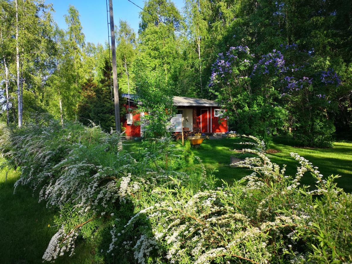 Koivuniemi Cottage Säkylä Eksteriør billede