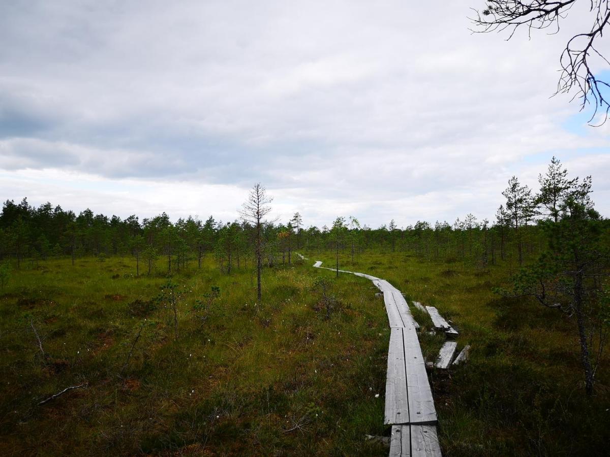 Koivuniemi Cottage Säkylä Eksteriør billede