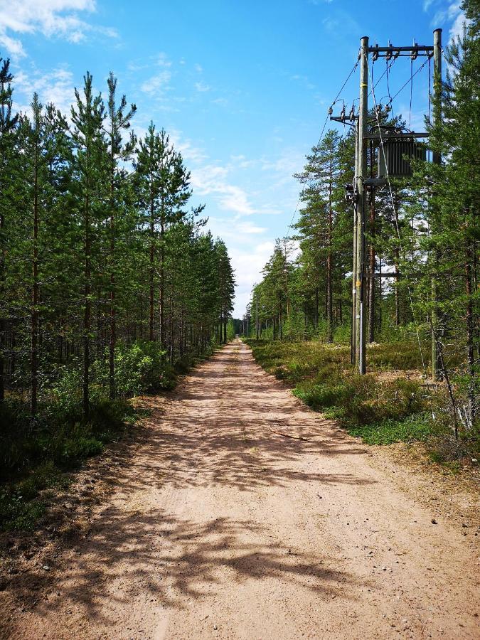 Koivuniemi Cottage Säkylä Eksteriør billede
